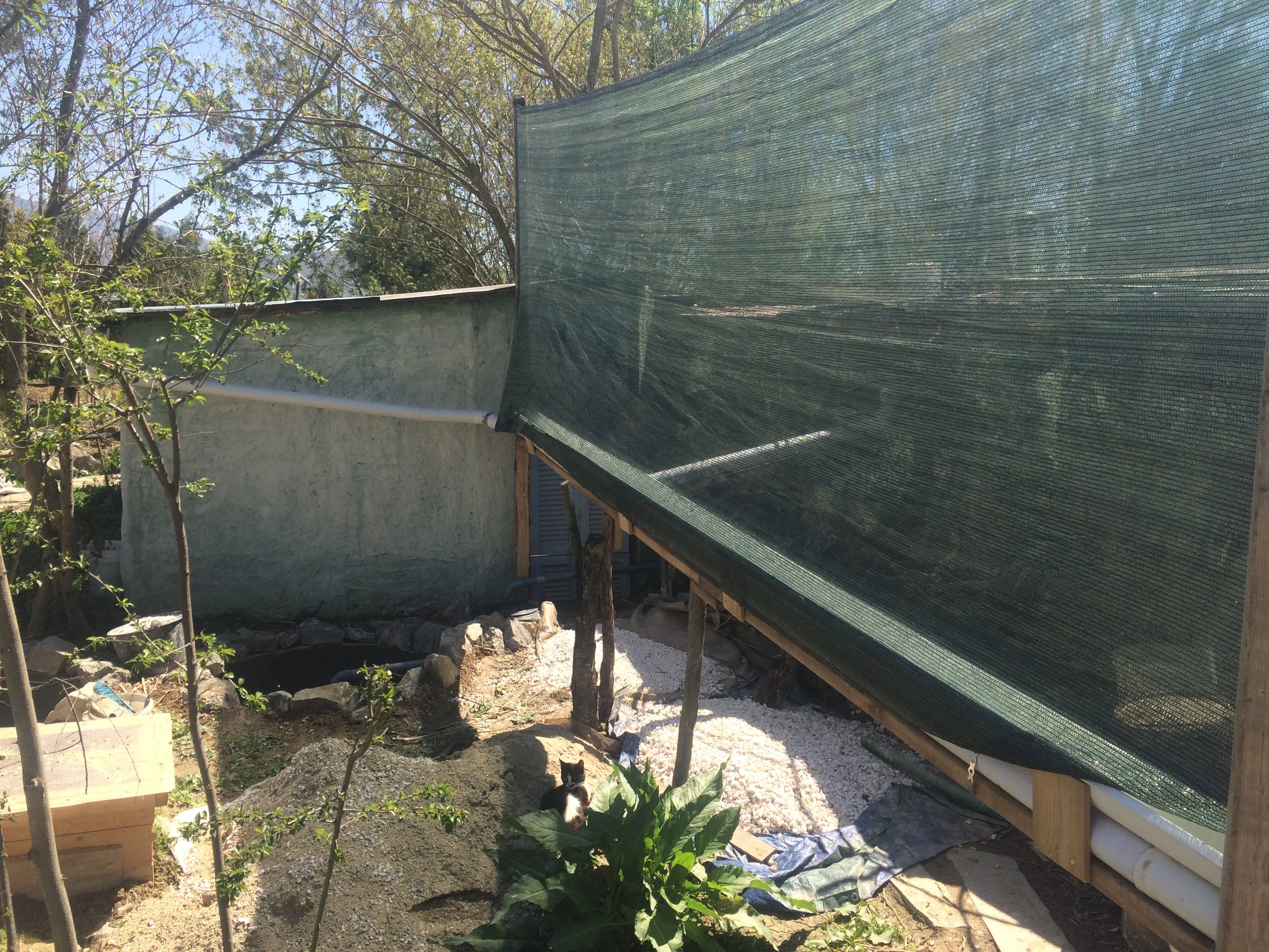 Φράγμα Ομίχλης