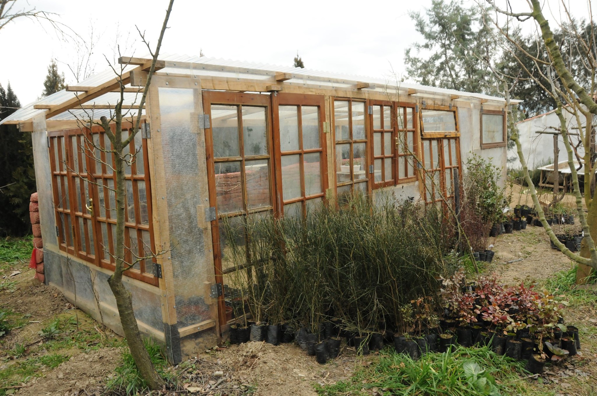 Θερμοκήπιο