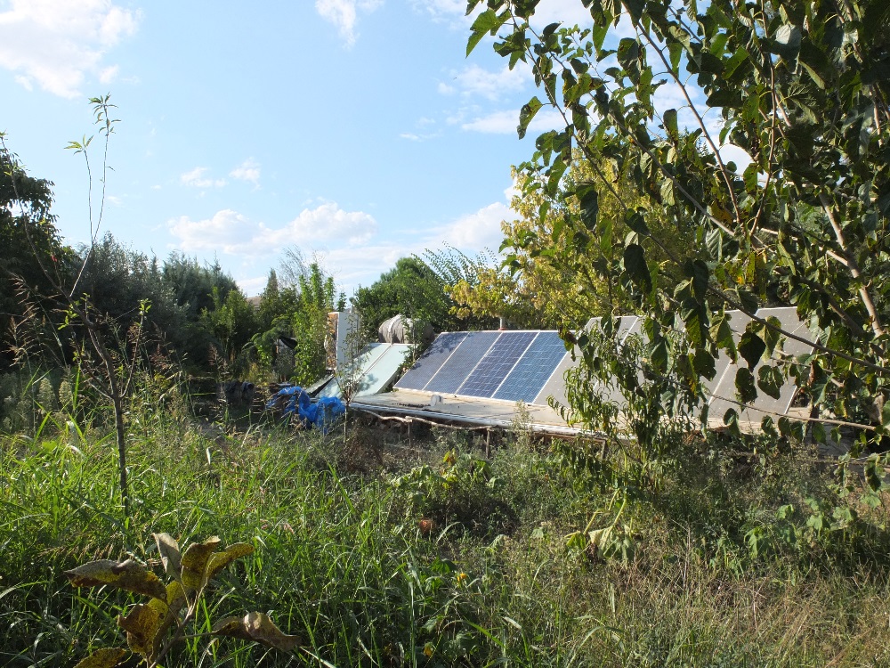 Φυσική Καλλιέργεια