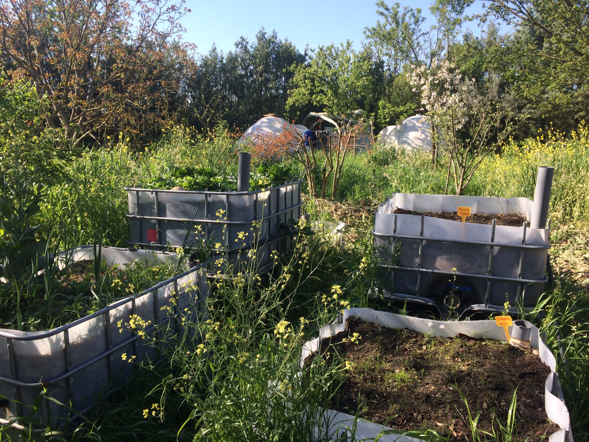 Αυτοποτιζόμενα Παρτέρια