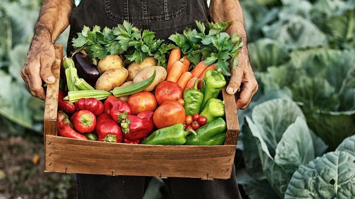 254685699 4818679078182872 5958725329703365641 n